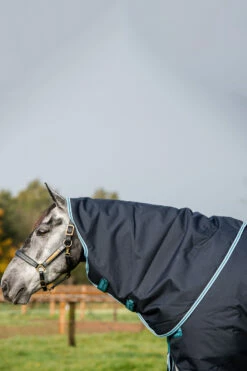 Horseware Amigo Bravo 12 Plus Winterdecke Mit Abnehmbarem Halsteil, 250g 20 Horseware Amigo Bravo 12 Plus Winterdecke Mit Abnehmbarem Halsteil, 250g -Weatherbeeta Shop 320370 DB AB 4