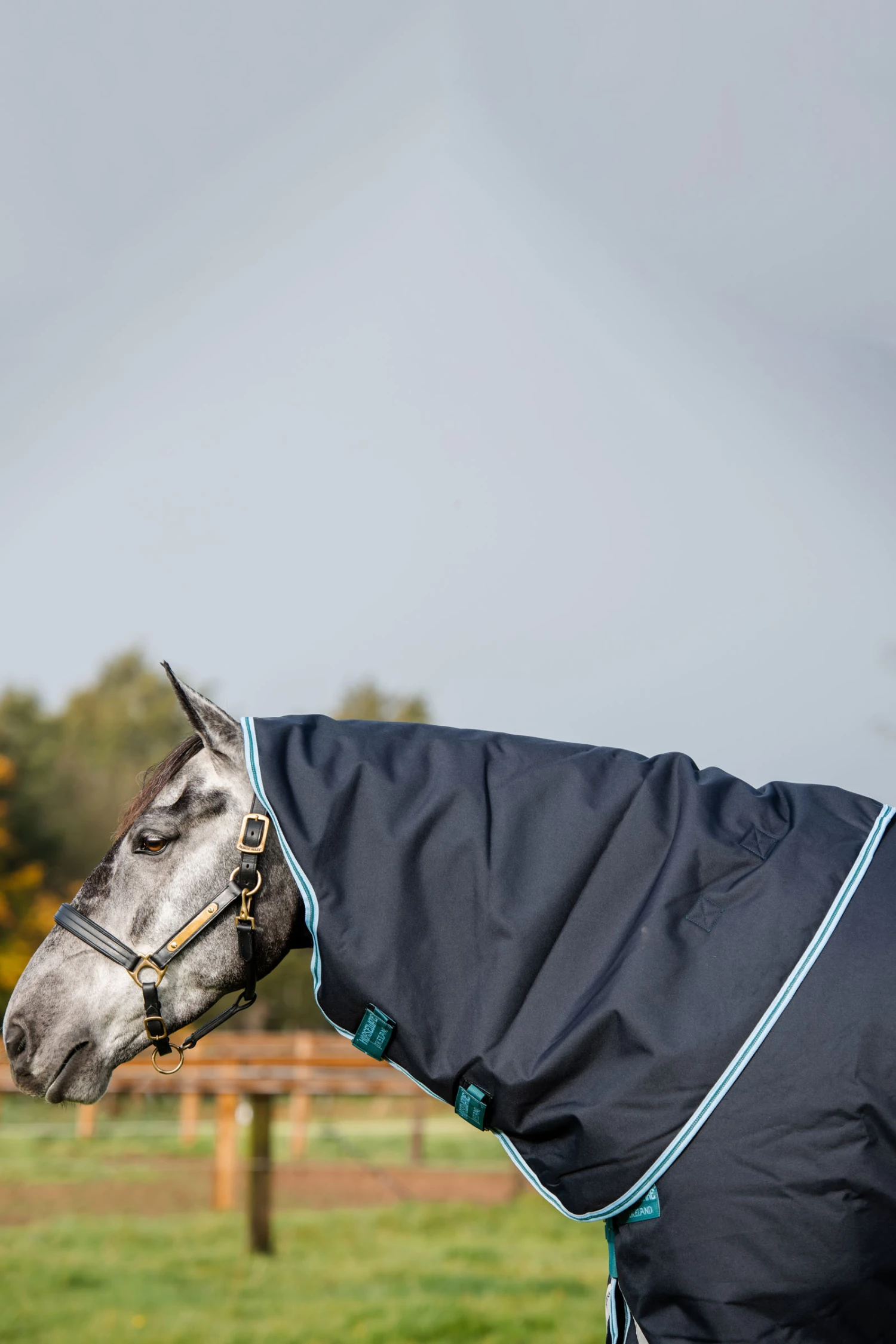 Horseware Amigo Bravo 12 Plus Winterdecke Mit Abnehmbarem Halsteil, 250g 10 Horseware Amigo Bravo 12 Plus Winterdecke Mit Abnehmbarem Halsteil, 250g – Bild 8