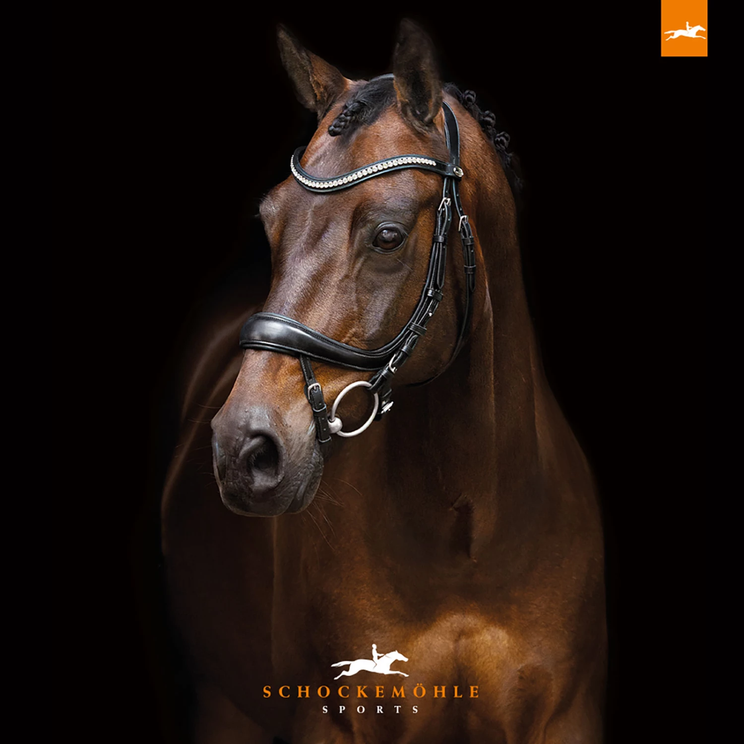 Schockemöhle Equitus Beta Anatomische Spezialtrense 5 Schockemöhle Equitus Beta Anatomische Spezialtrense – Bild 3