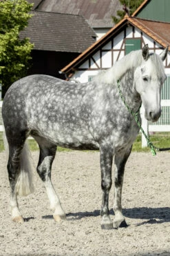 USG Halsring Soft 17 USG Halsring Soft -Weatherbeeta Shop 322868 BL GR 2