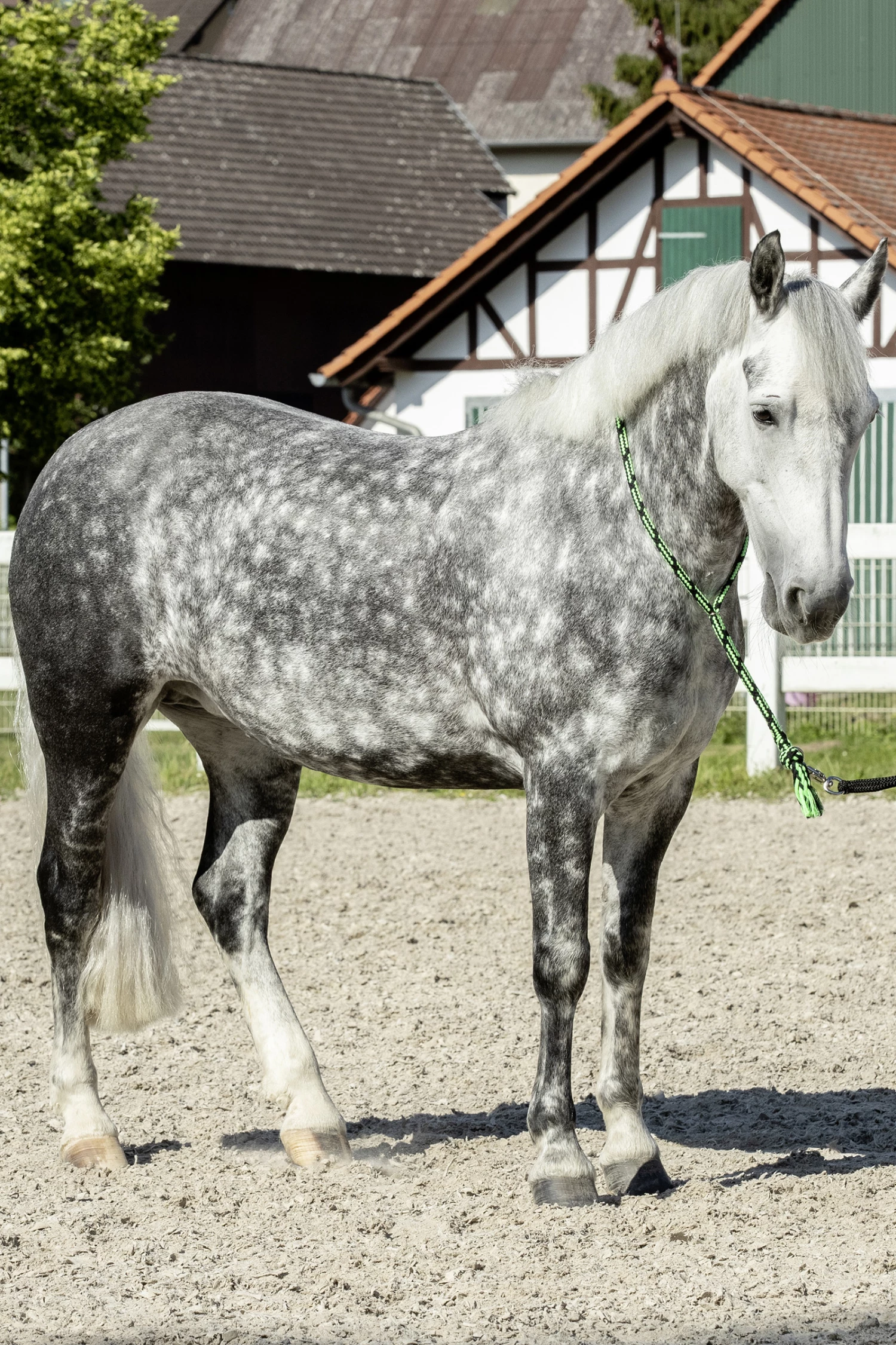 USG Halsring Soft 10 USG Halsring Soft – Bild 8