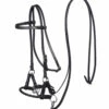 F.R.A. Pariba Sidepull (System 3) Mit Geflochtenem Nasenriemen, Inkl. Zügel -Weatherbeeta Shop 322922 BL 1