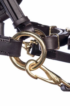 F.R.A. Pariba Sidepull (System 3) Mit Geflochtenem Nasenriemen, Inkl. Zügel -Weatherbeeta Shop 322922 BR BRS 2