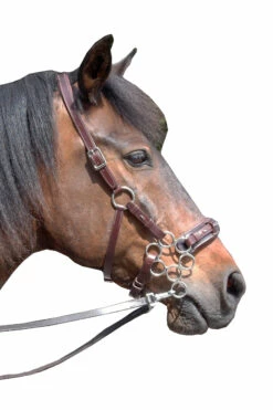 FRA Aram Hackamore (System 2) Leather, Jaw Straps, W/ Scissors 7 FRA Aram Hackamore (System 2) Leather, Jaw Straps, W/ Scissors -Weatherbeeta Shop 322944 DBR 1