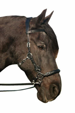 FRA Calli Hackamore (System 2) Mit Zügeln 9 FRA Calli Hackamore (System 2) Mit Zügeln -Weatherbeeta Shop 322945 BL 3