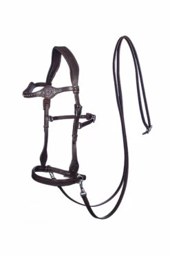 FRA Dandy Sidepull (System 3) Leather, W/ Leather Clip Reins 9 FRA Dandy Sidepull (System 3) Leather, W/ Leather Clip Reins -Weatherbeeta Shop 322950 BR 1