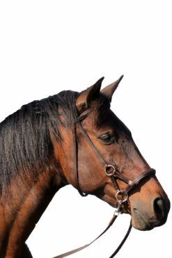 FRA Pardoes Sidepull (System 3) Leder Mit Anti Slip Zügeln 7 FRA Pardoes Sidepull (System 3) Leder Mit Anti Slip Zügeln -Weatherbeeta Shop 322960 BR 2