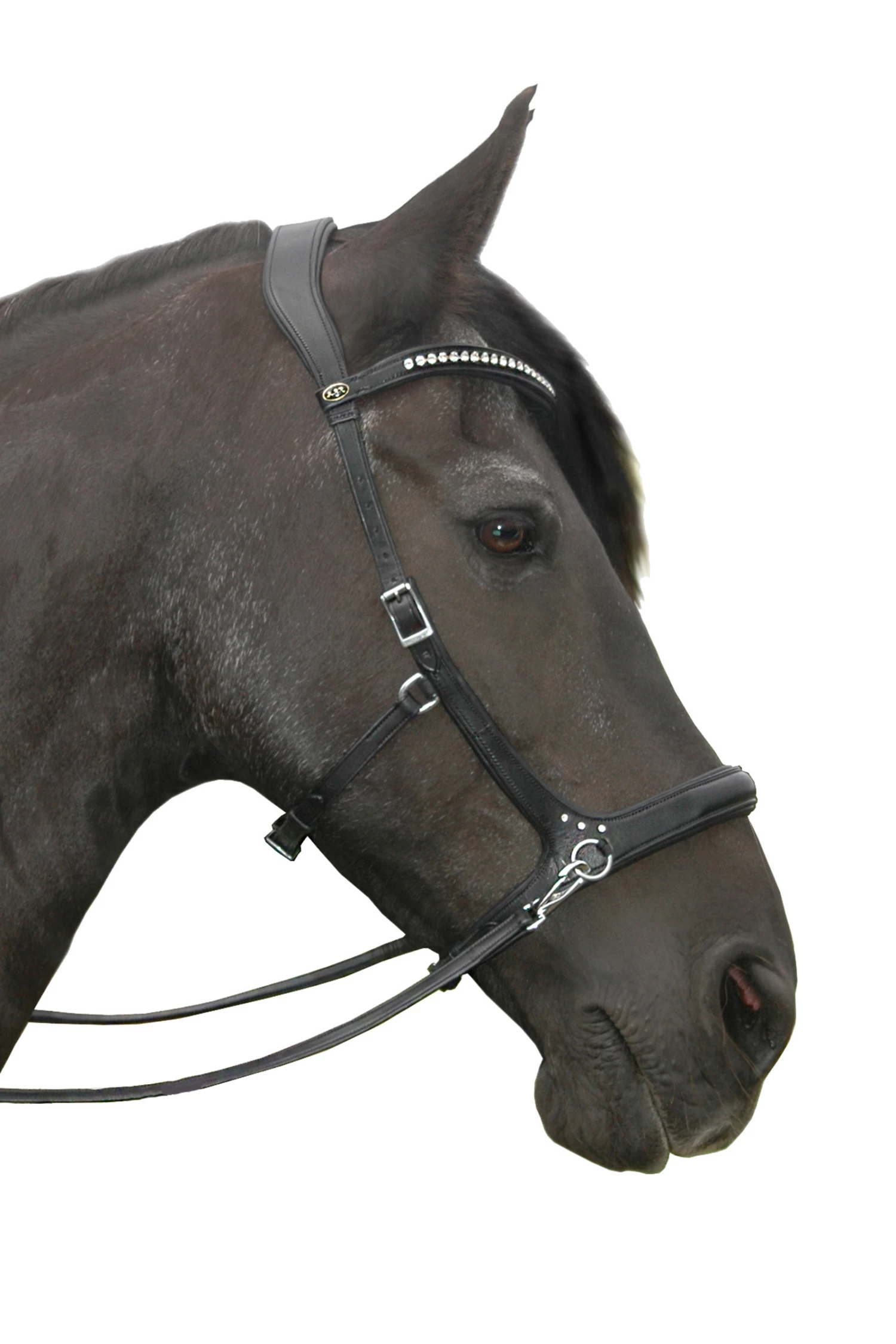 FRA Rebecca Sidepull (System 3) Mit Kristallen 4 FRA Rebecca Sidepull (System 3) Mit Kristallen – Bild 2