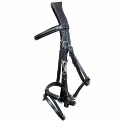 Karlslund Reithalfter