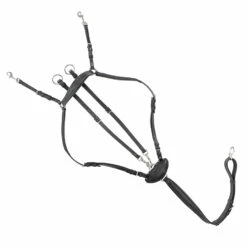 Kavalkade Vorderzeug Dekor, W