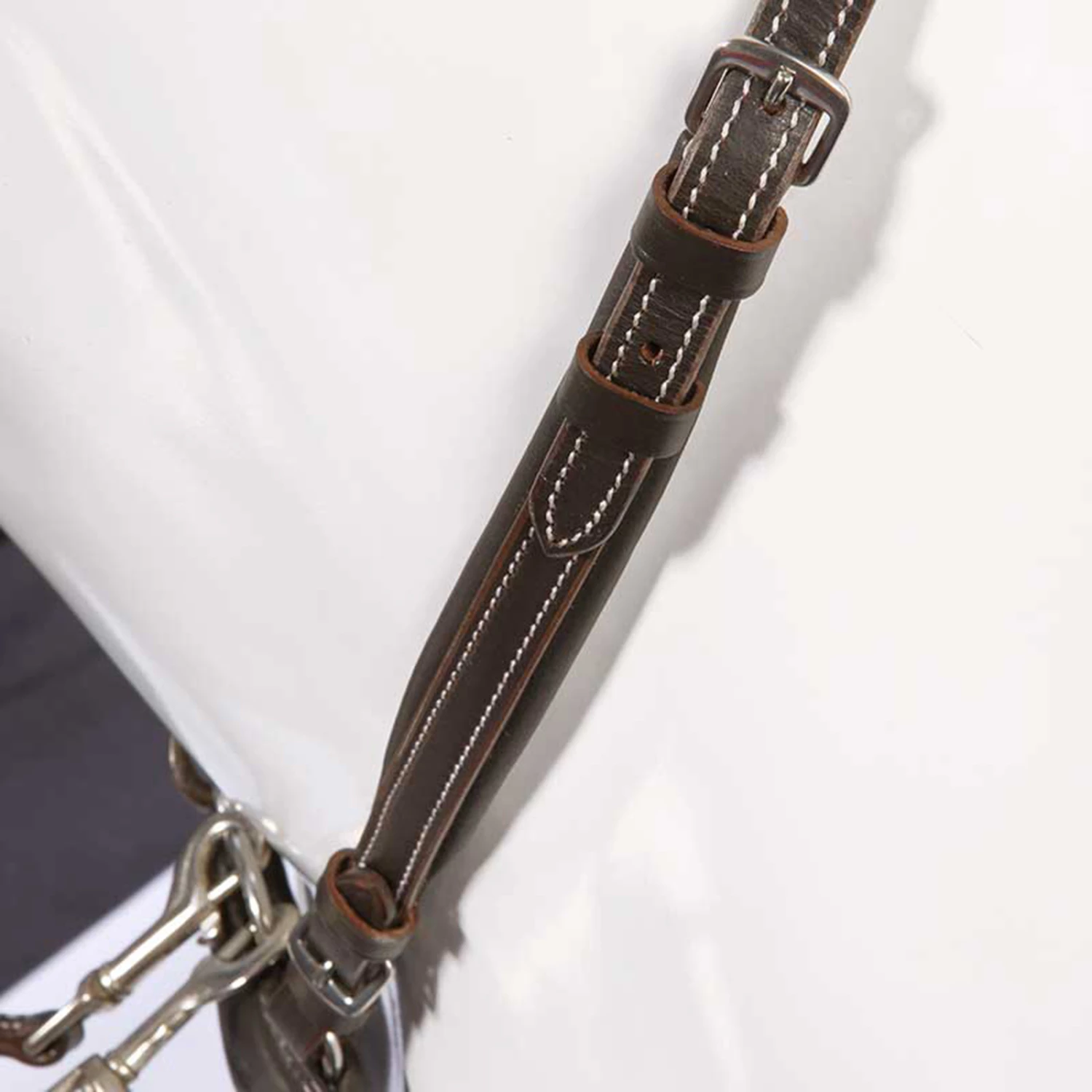 Kavalkade Vorderzeug Dekor, W 7 Kavalkade Vorderzeug Dekor, W – Bild 5