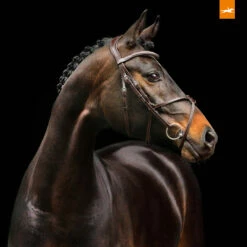 Schockemöhle Rio Select Trense 13 Schockemöhle Rio Select Trense -Weatherbeeta Shop 326305 DBR SI 2