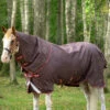 Horseware Amigo Bravo 12 Plus Regendecke Mit Abnehmbarem Halsteil, 100g -Weatherbeeta Shop 326984 BR RE GO 1