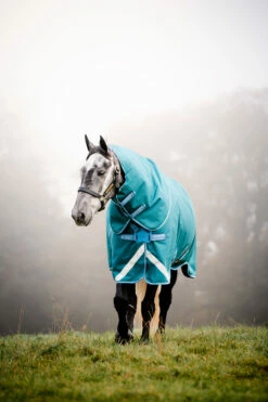 Horseware Amigo Bravo 12 Plus Regendecke Mit Abnehmbarem Halsteil, 100g -Weatherbeeta Shop 326984 STGR 2