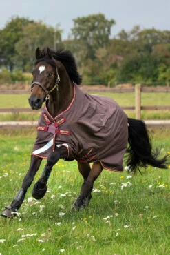 Horseware Amigo Bravo Disc Regendecke, 0g