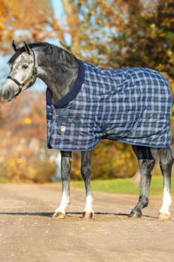 Horseware Rhino Original Vari-Layer Stalldecke, 250g -Weatherbeeta Shop 327016 MDB IDB 1