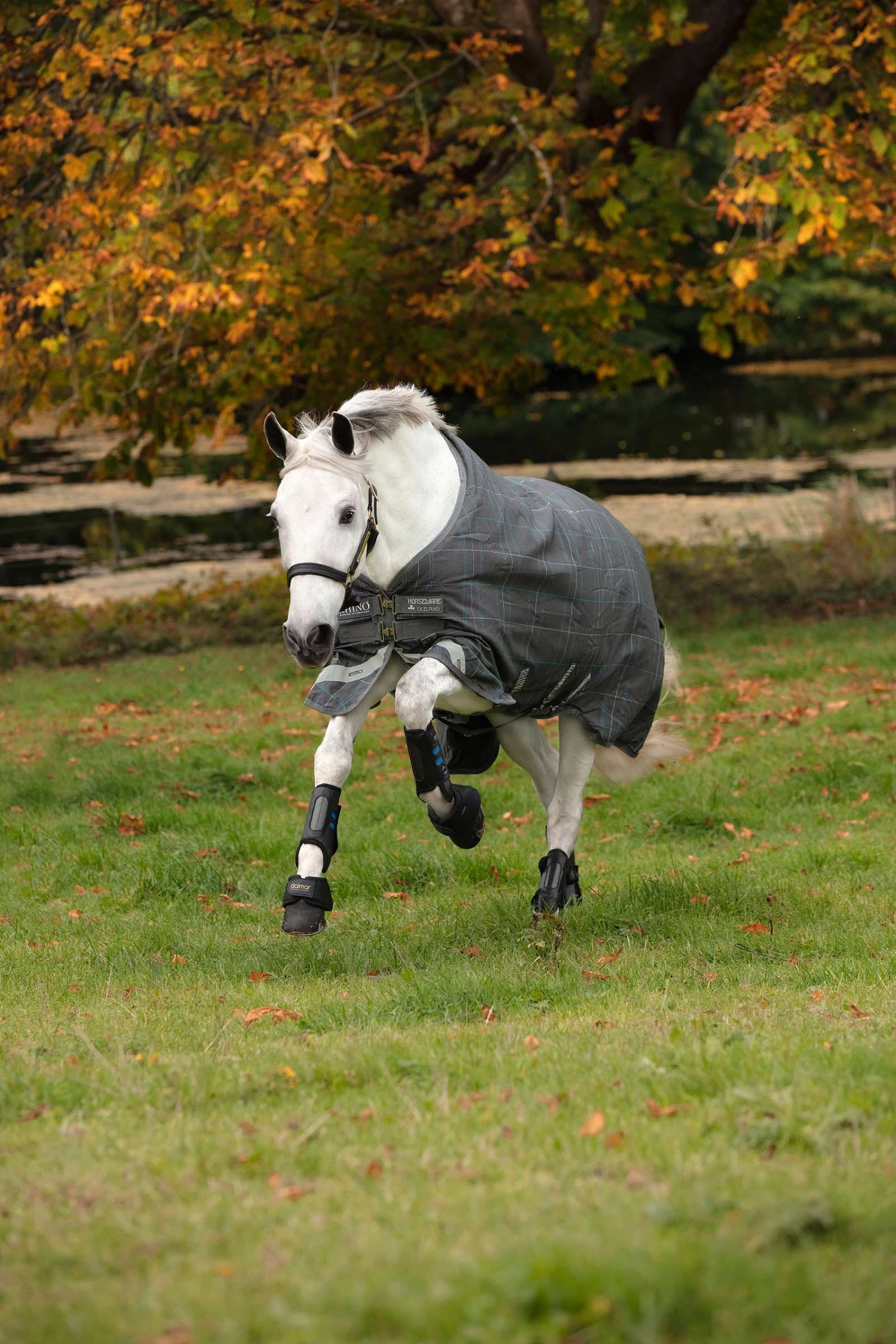 Horseware Rhino Original Vari-Layer Winterdecke, 250g 4 Horseware Rhino Original Vari-Layer Winterdecke, 250g – Bild 2