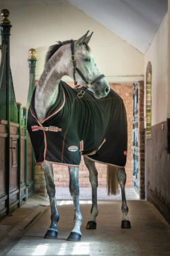 Weatherbeeta Therapy-Tec Decke Standard Neck -Weatherbeeta Shop 328525 BL SI RE 6