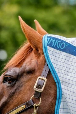 Horseware Amigo Aussie Allrounder Disc Fliegendecke Mit Abnehmbarem Halsteil -Weatherbeeta Shop 329269 DB EB 7