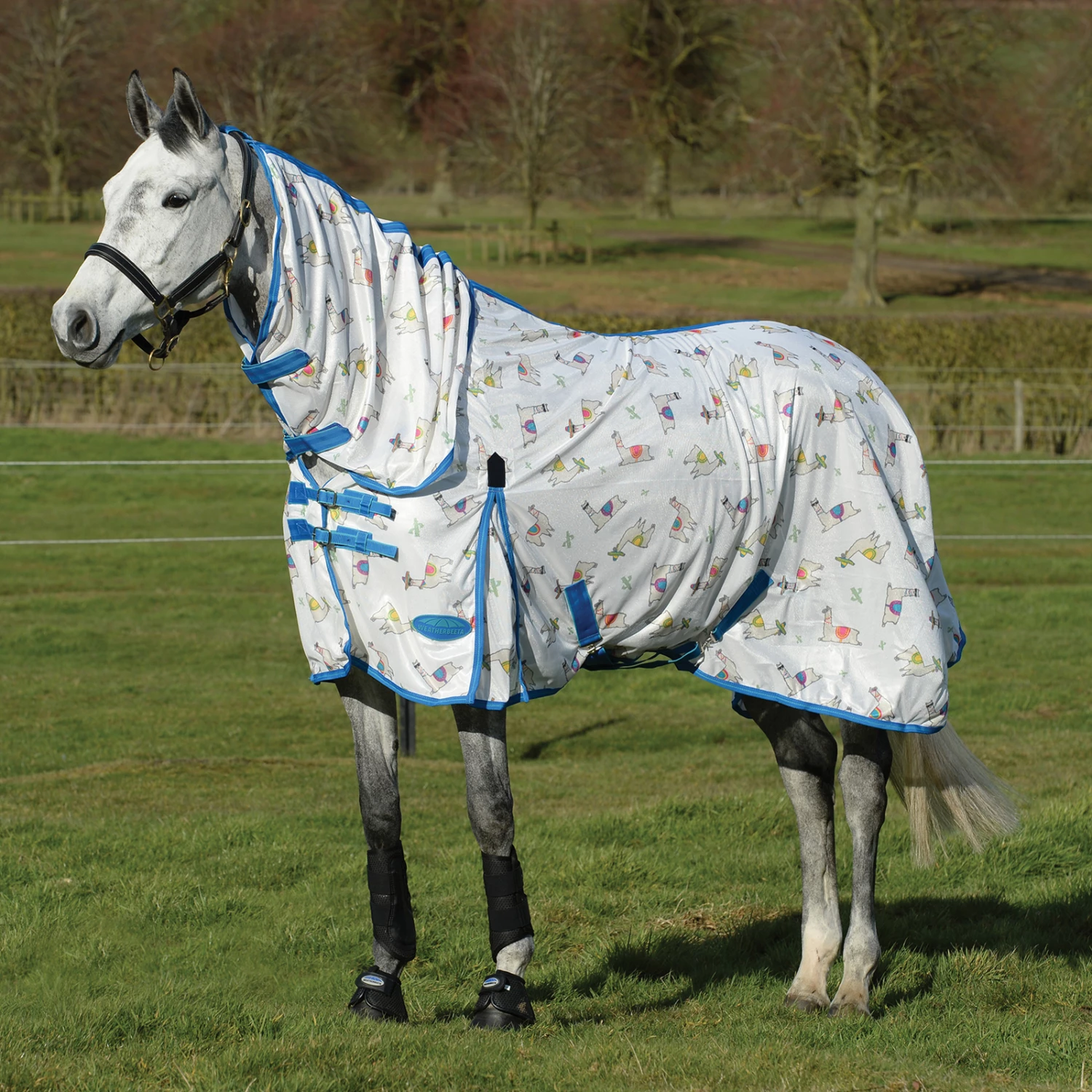 Weatherbeeta Comfitec Essential Mesh II Fliegendecke Mit Festem Halsteil 5 Weatherbeeta Comfitec Essential Mesh II Fliegendecke Mit Festem Halsteil – Bild 3