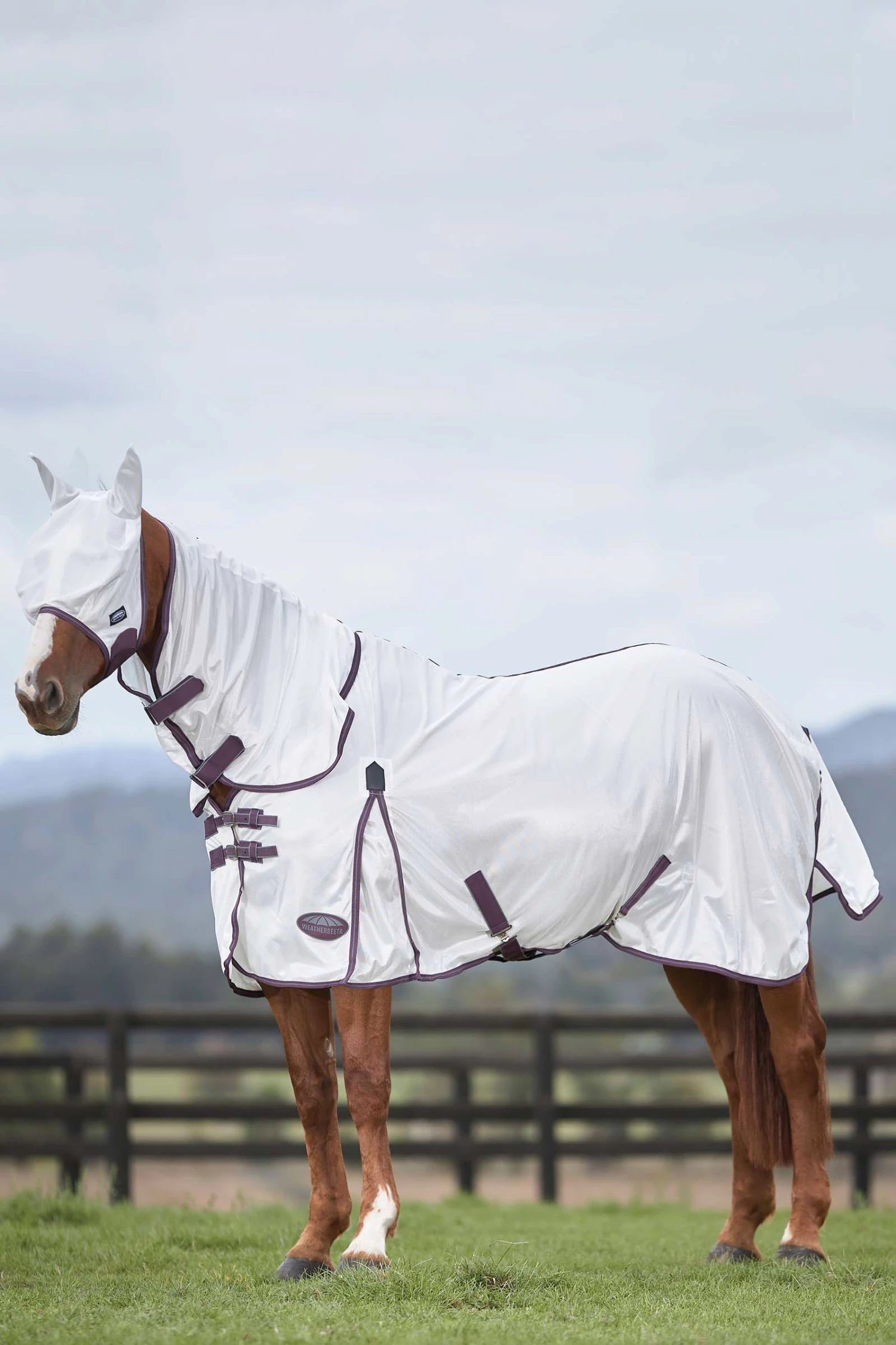Weatherbeeta Comfitec Essential Mesh II Fliegendecke Mit Festem Halsteil 11 Weatherbeeta Comfitec Essential Mesh II Fliegendecke Mit Festem Halsteil – Bild 9