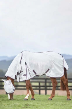 Weatherbeeta Comfitec Essential Mesh II Fliegendecke Mit Festem Halsteil 25 Weatherbeeta Comfitec Essential Mesh II Fliegendecke Mit Festem Halsteil -Weatherbeeta Shop 329554 WH DRE 2
