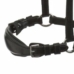 Schockemöhle Seattle Reithalfter 12 Schockemöhle Seattle Reithalfter -Weatherbeeta Shop 331413 BL SI 2