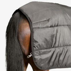 Back On Track Felix Unterdecke, 200g 10 Back On Track Felix Unterdecke, 200g -Weatherbeeta Shop 331622 BL 4