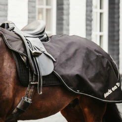 Back On Track Sammy Ausreitdecke, 50g 13 Back On Track Sammy Ausreitdecke, 50g -Weatherbeeta Shop 331628 BL 4