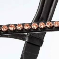 Kavalkade Trense Rose -Weatherbeeta Shop 332392 BL 4