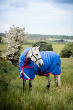 Horseware Amigo Bravo 12 Reflective Plus Winterdecke Mit Abnehmbarem Halsteil, 250g -Weatherbeeta Shop 332730 B PI 5