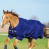 Horseware Amigo Hero 900 T/O Med Winterdecke, 200g -Weatherbeeta Shop 332736 AB IWH 1