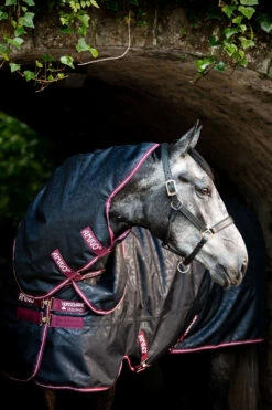 Horseware Amigo Hero Ripstop Plus Weidedecke Mit Abnehmbarem Halsteil, 0g 10 Horseware Amigo Hero Ripstop Plus Weidedecke Mit Abnehmbarem Halsteil, 0g -Weatherbeeta Shop 332739 DB BU 3