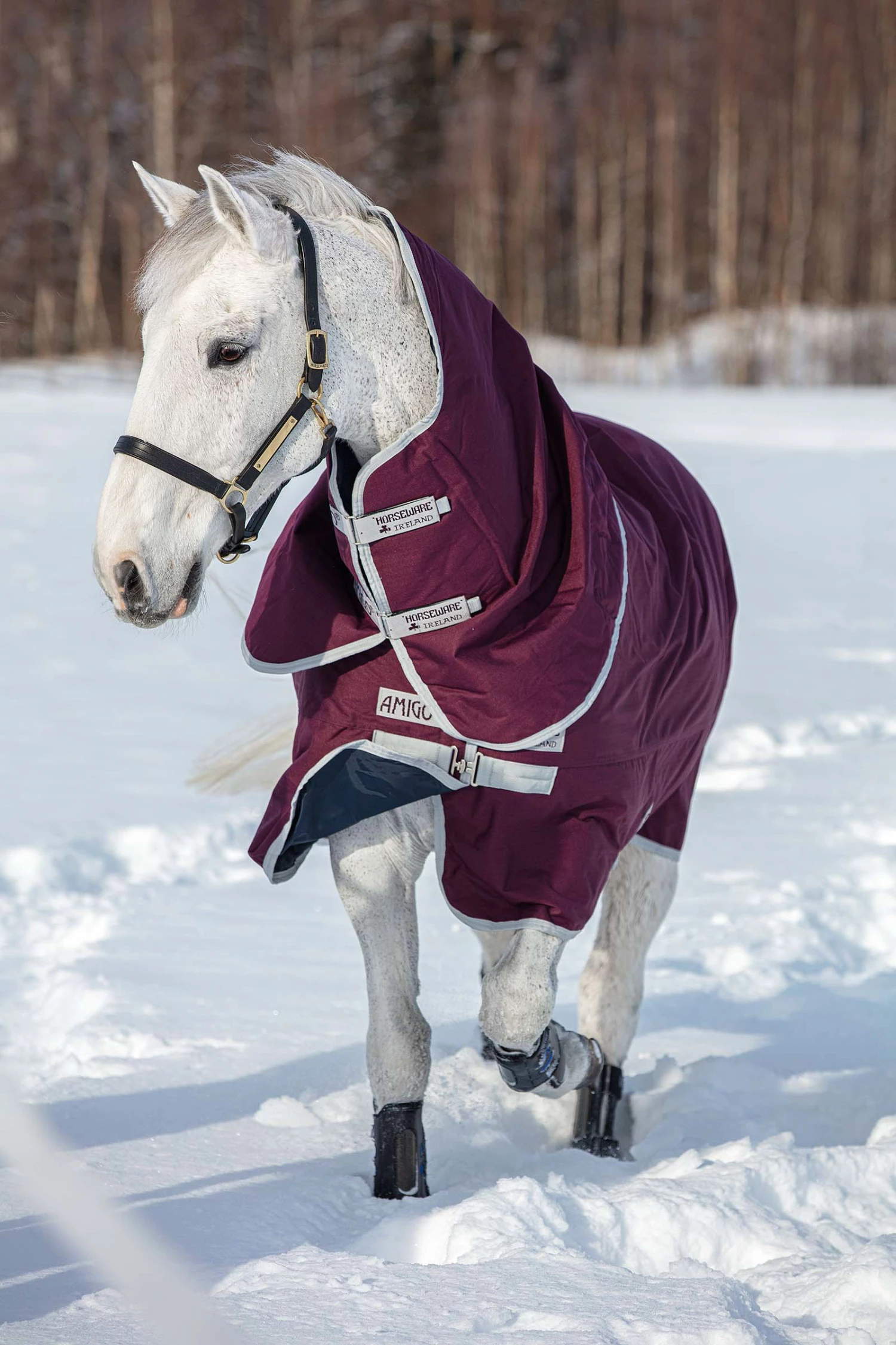 Horseware Amigo Hero Ripstop Plus Medium Winterdecke Mit Abnehmbarem Halsteil, 200g 4 Horseware Amigo Hero Ripstop Plus Medium Winterdecke Mit Abnehmbarem Halsteil, 200g – Bild 2