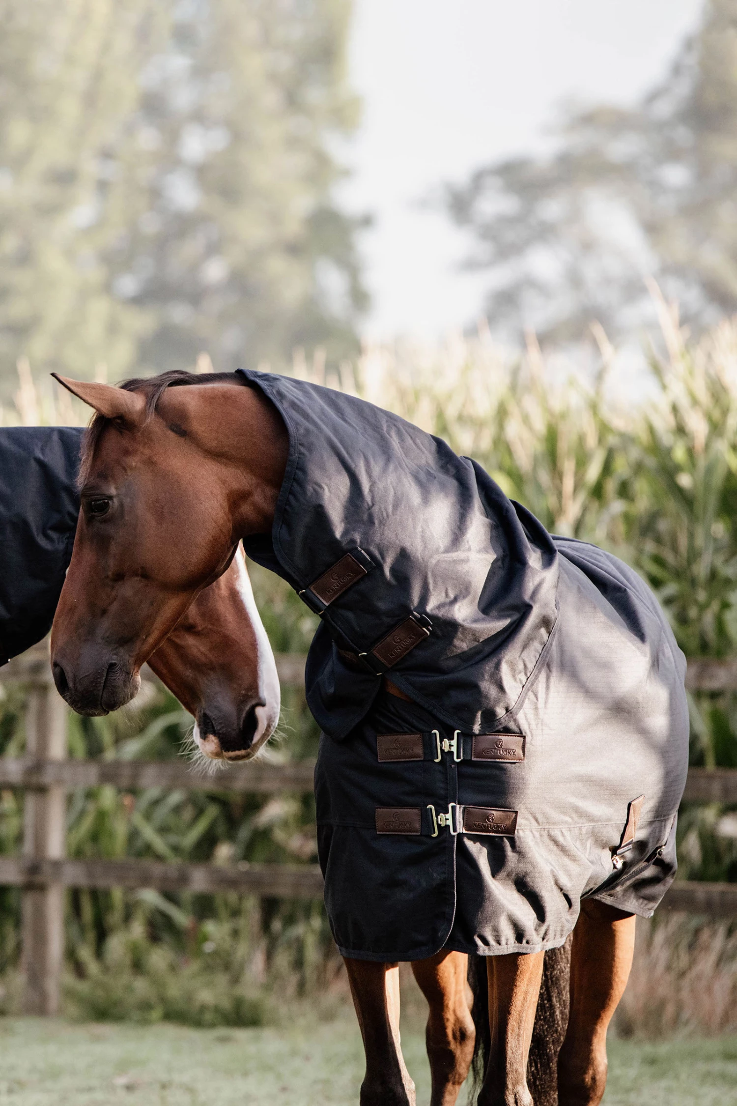 Kentucky Horsewear All Weather Waterproof Classic Regendecke, 0g 3 Kentucky Horsewear All Weather Waterproof Classic Regendecke, 0g