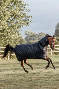 Kentucky Horsewear All Weather Waterproof Classic Regendecke, 0g 7 Kentucky Horsewear All Weather Waterproof Classic Regendecke, 0g -Weatherbeeta Shop 332981 DB 3