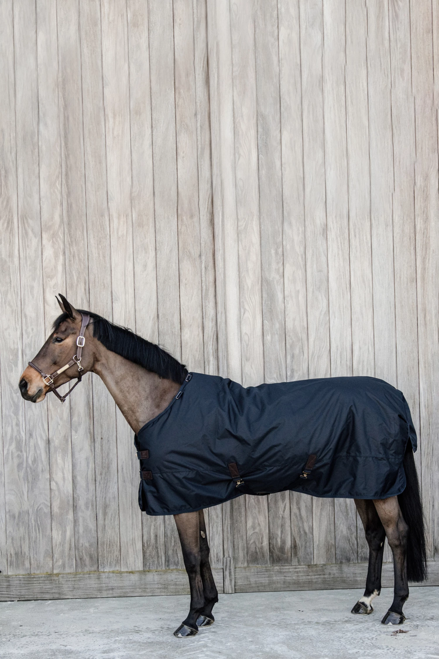 Kentucky Horsewear All Weather Waterproof Classic Regendecke, 50g 3 Kentucky Horsewear All Weather Waterproof Classic Regendecke, 50g