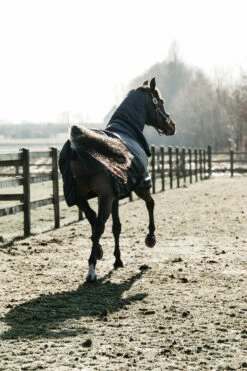 Kentucky Horsewear All Weather Waterproof Classic Regendecke, 50g 8 Kentucky Horsewear All Weather Waterproof Classic Regendecke, 50g -Weatherbeeta Shop 332982 DB 3