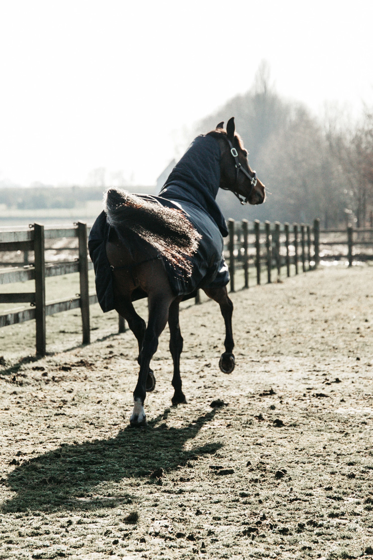 Kentucky Horsewear All Weather Waterproof Classic Regendecke, 50g 5 Kentucky Horsewear All Weather Waterproof Classic Regendecke, 50g – Bild 3