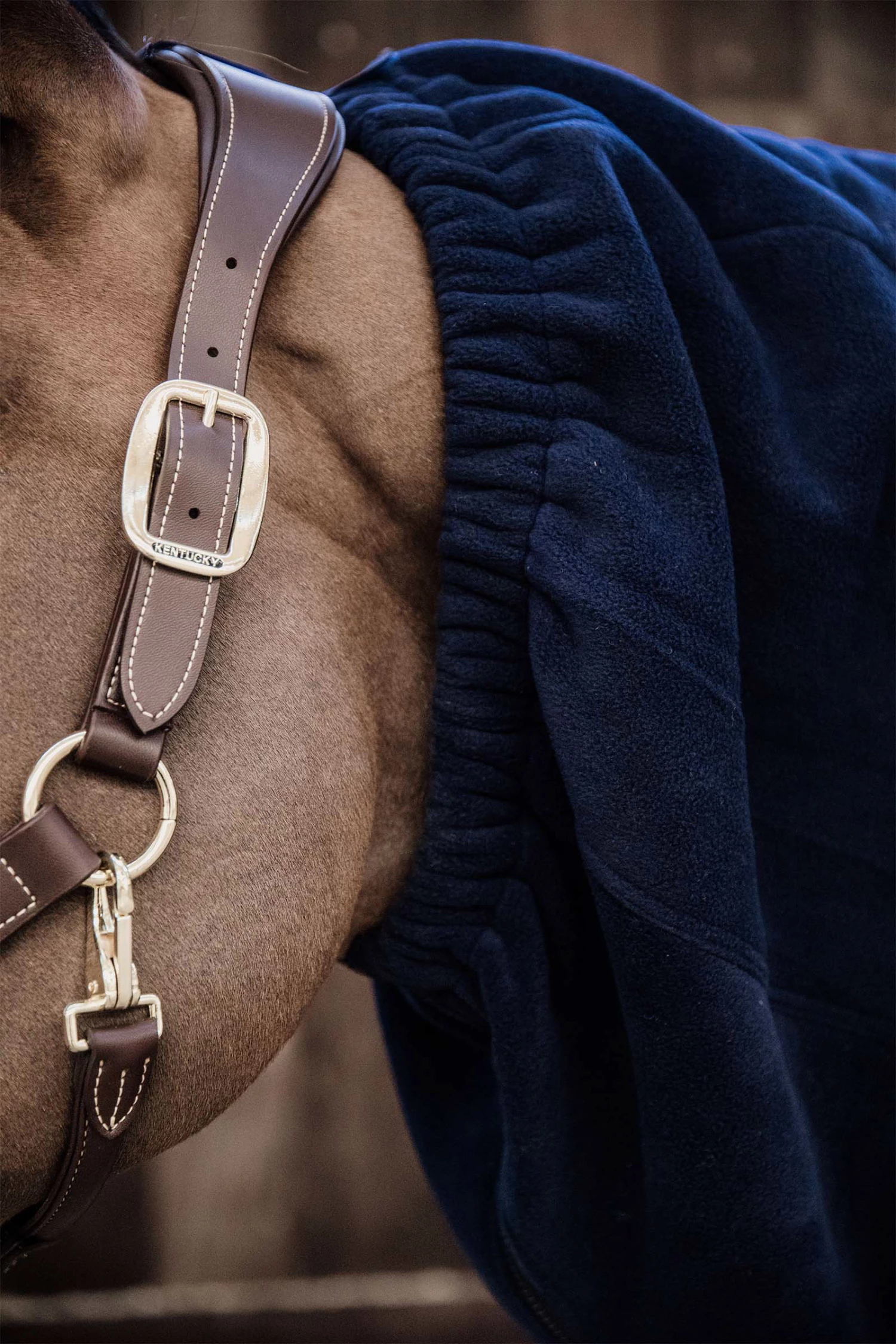 Kentucky Horsewear Heavy Fleece Halsdecke 5 Kentucky Horsewear Heavy Fleece Halsdecke – Bild 3