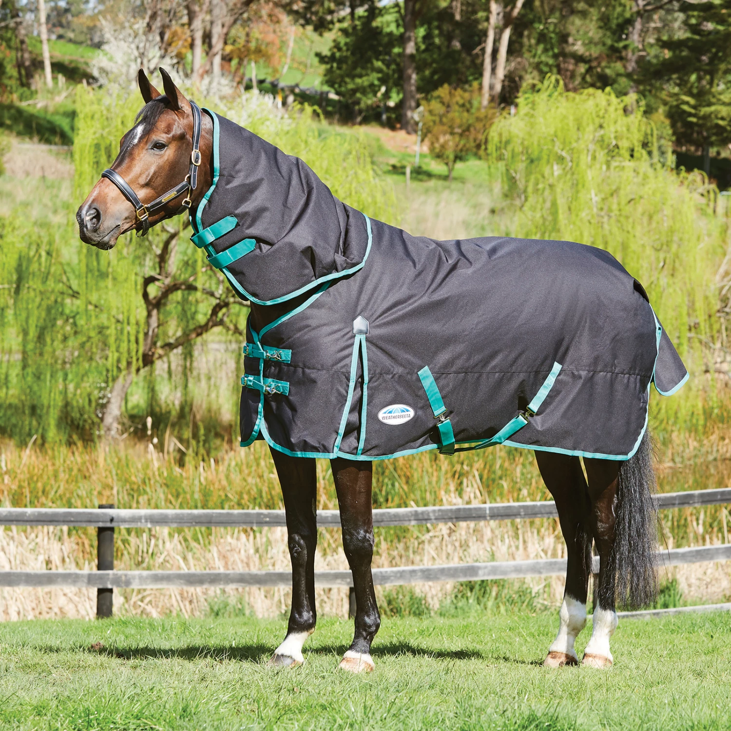 Weatherbeeta Green-Tec Regendecke Mit Abnehmbarem Halsteil, 50g 4 Weatherbeeta Green-Tec Regendecke Mit Abnehmbarem Halsteil, 50g – Bild 2