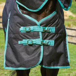 Weatherbeeta Green-Tec Regendecke Mit Abnehmbarem Halsteil, 50g 8 Weatherbeeta Green-Tec Regendecke Mit Abnehmbarem Halsteil, 50g -Weatherbeeta Shop 333104 BL BDGR 3