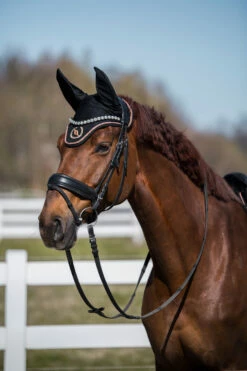 Back On Track Haze Kollektion Fliegenhauben -Weatherbeeta Shop 333188 BL RPI 5