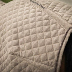 Back On Track Haze Kollektion Gesteppte Stalldecke, 200g (125-135cm) 28 Back On Track Haze Kollektion Gesteppte Stalldecke, 200g (125-135cm) -Weatherbeeta Shop 333191 BR 7