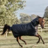 Kentucky Horsewear All Weather Waterproof Classic, Regendecke, 150g 2 Kentucky Horsewear All Weather Waterproof Classic, Regendecke, 150g -Weatherbeeta Shop 333287 DB 1