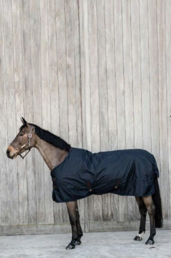 Kentucky Horsewear All Weather Waterproof Classic, Regendecke, 150g 10 Kentucky Horsewear All Weather Waterproof Classic, Regendecke, 150g -Weatherbeeta Shop 333287 DB 3