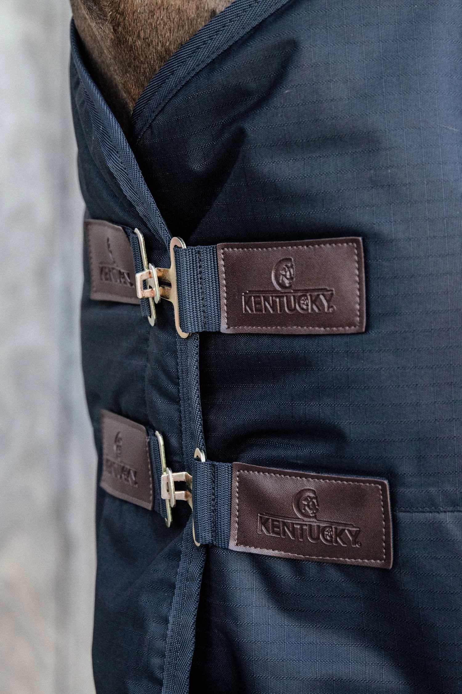 Kentucky Horsewear All Weather Waterproof Classic, Regendecke, 150g 6 Kentucky Horsewear All Weather Waterproof Classic, Regendecke, 150g – Bild 4