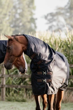 Kentucky Horsewear All Weather Waterproof Classic, Regendecke, 150g 13 Kentucky Horsewear All Weather Waterproof Classic, Regendecke, 150g -Weatherbeeta Shop 333287 DB 6