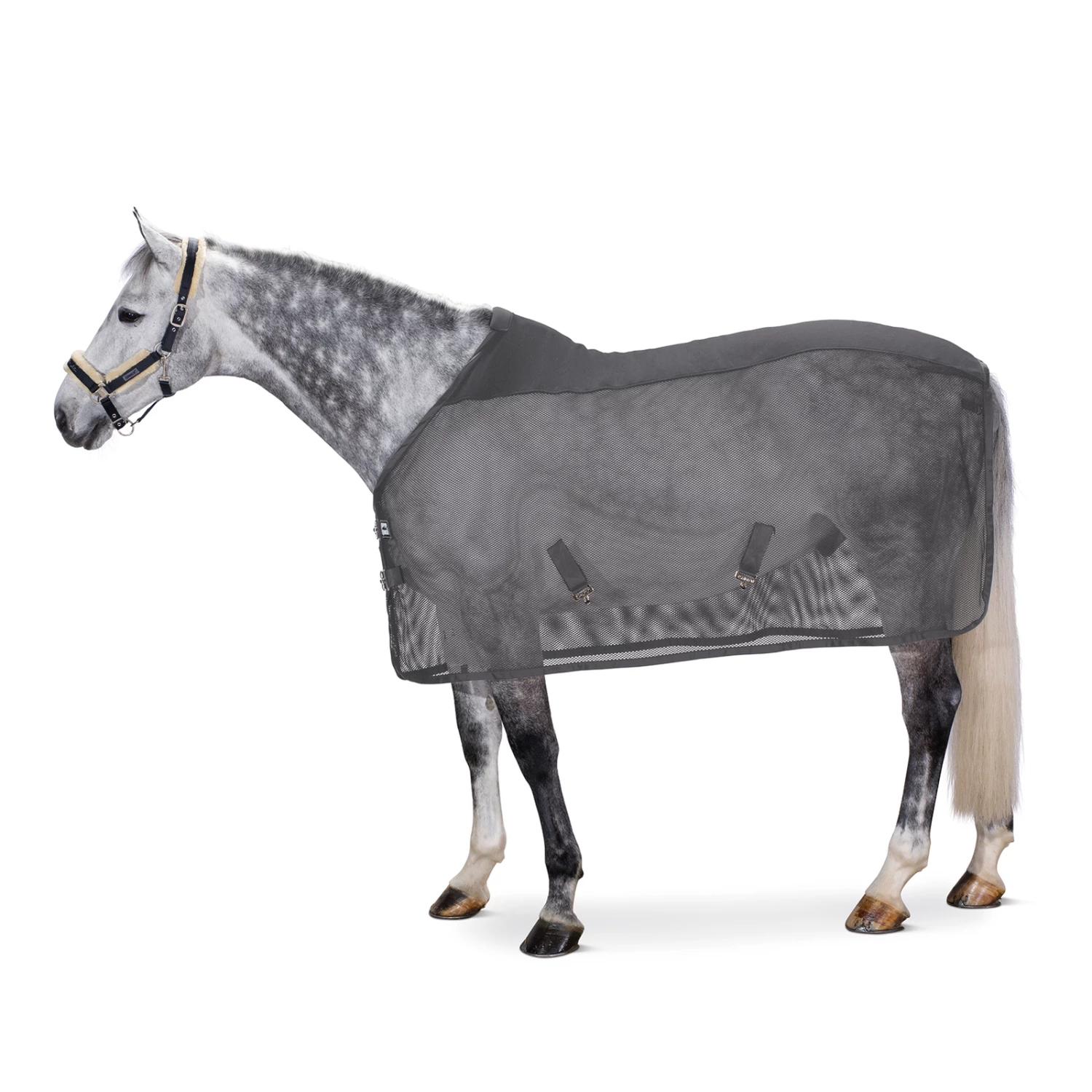 Eskadron Pro Cover Dura Fliegendecke 3 Eskadron Pro Cover Dura Fliegendecke