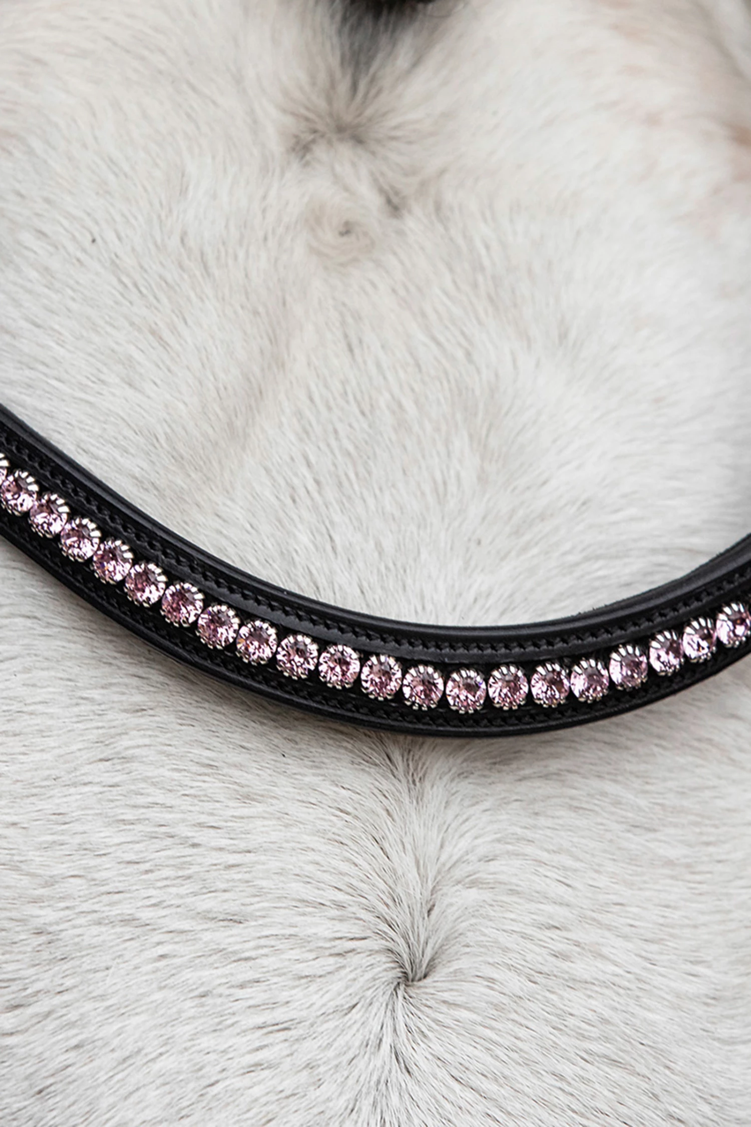 Schockemöhle Diamond Select Stirnriemen 8 Schockemöhle Diamond Select Stirnriemen – Bild 6